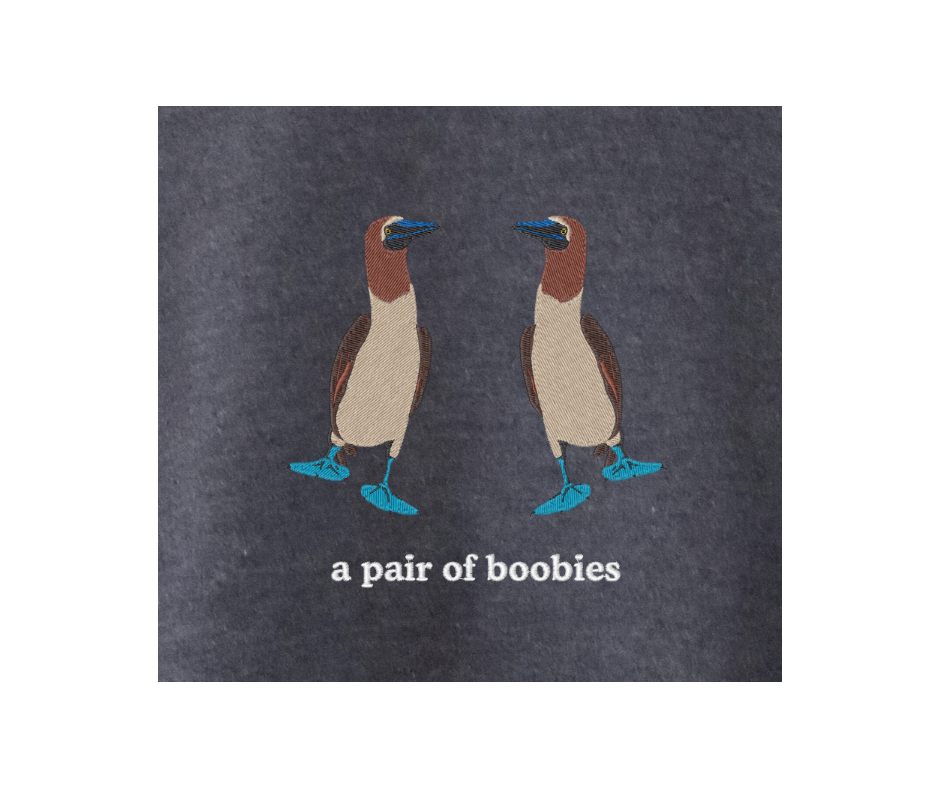 Inappropriate Birds Crew: Blue-Footed Booby